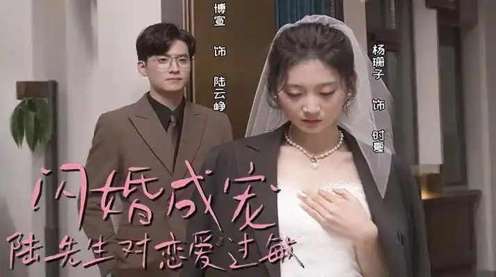闪婚成宠，陆先生对恋爱过敏
