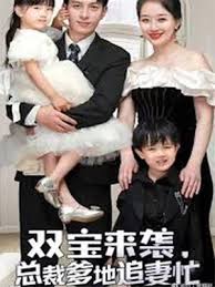 双宝来袭，总裁爹地追妻忙