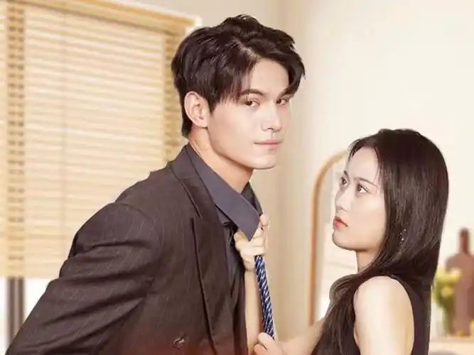 闪婚后，总裁夫人要离婚