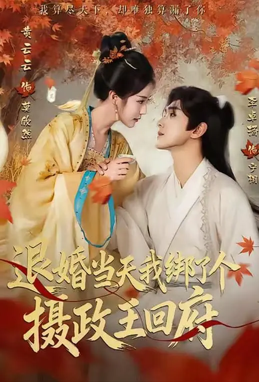 退婚当天我绑了个摄政王回府