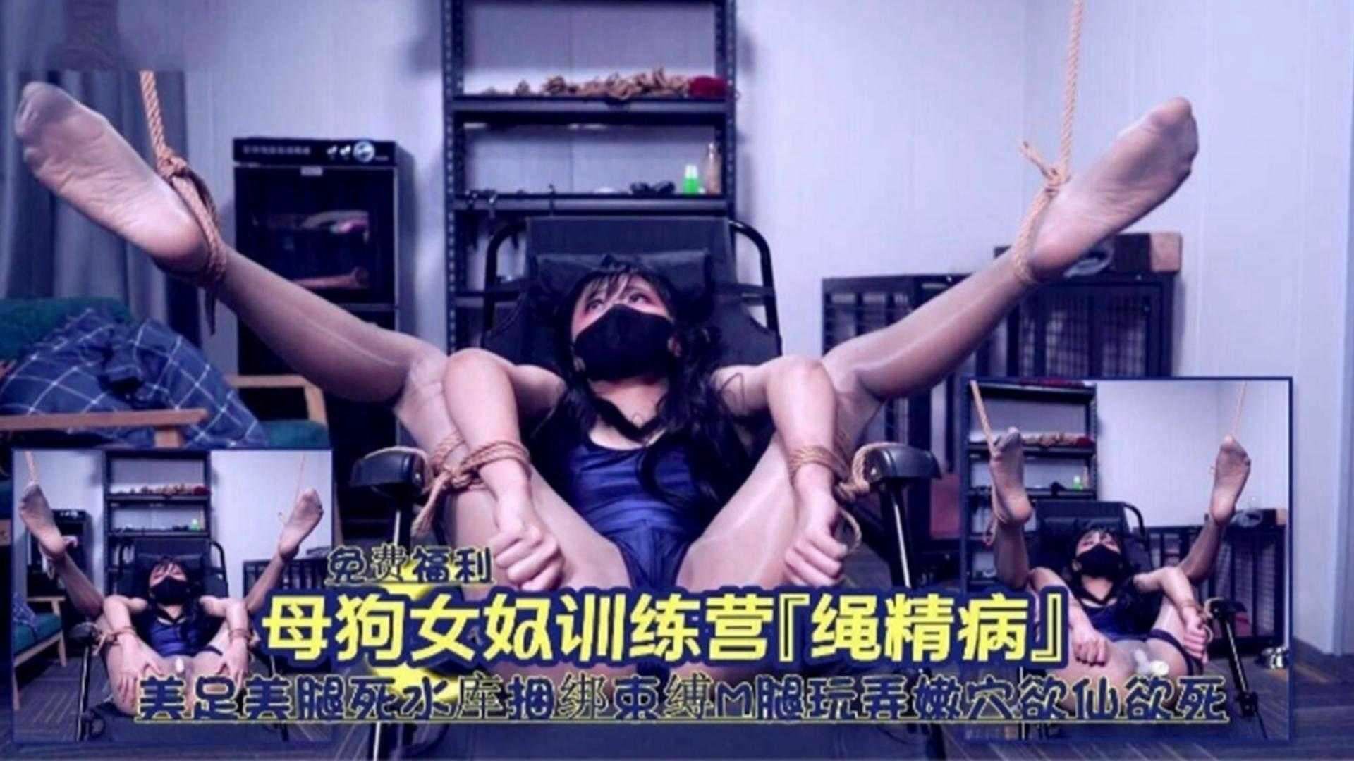【母狗女奴训练营】调教反差婊丝袜美腿女神..