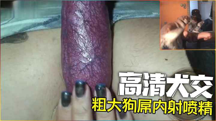 【高清犬交】巨根拔出来瞬间喷精-变态..