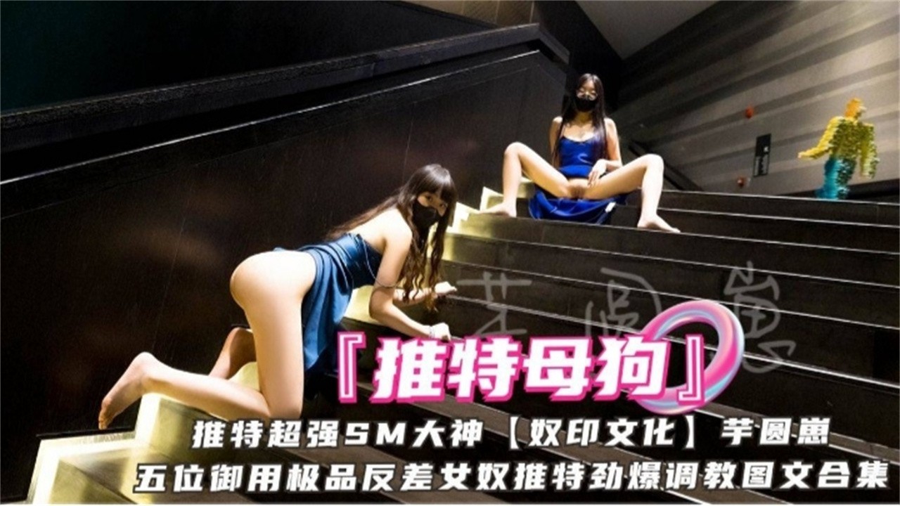 推特网红女神母狗调教大合集 炉管必备..